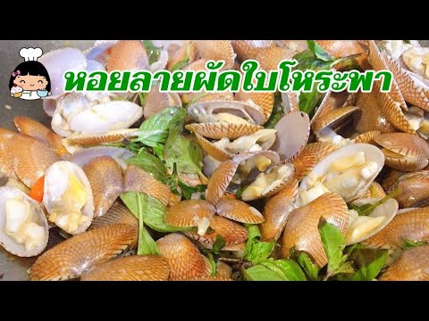 🐚 วิธีทำหอยลายผัดใบโหระพา (พร้อมเทคนิคการล้างหอย)