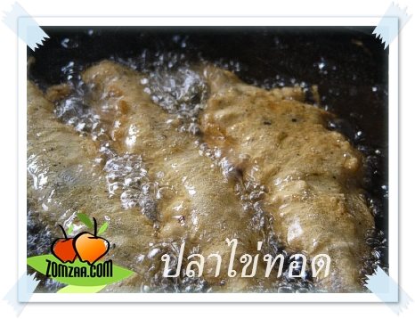 วิธีทำปลาไข่ทอด ขั้นตอนที่ 07