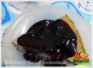 ซอสบลูเบอรี่ (Homemade Blueberry Sauce)