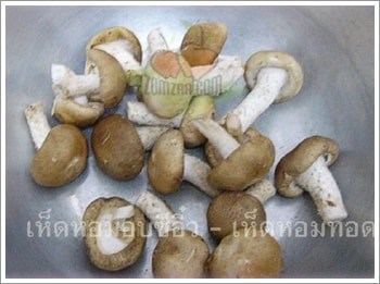 นำเห็ดหอมสดมาล้างให้สะอาด