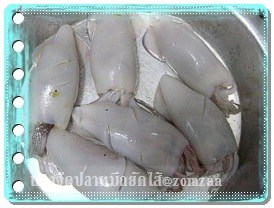 เสียบหัวและหนวดปลาหมึก