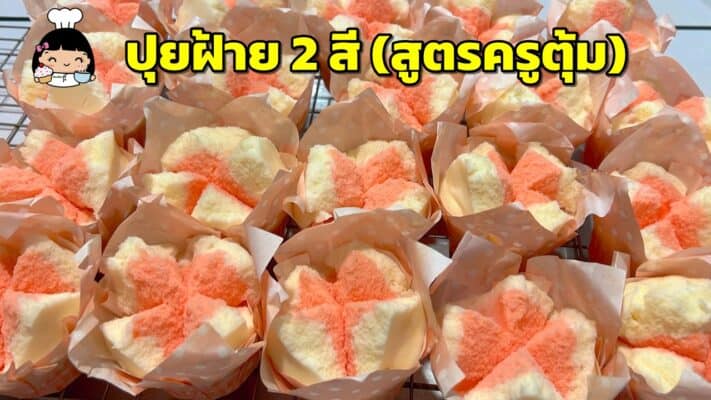 ปุยฝ้าย 2 สี